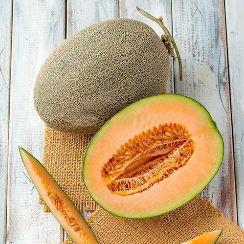 甜瓜爆料炮台视频下载安装,轻松获取热门内容