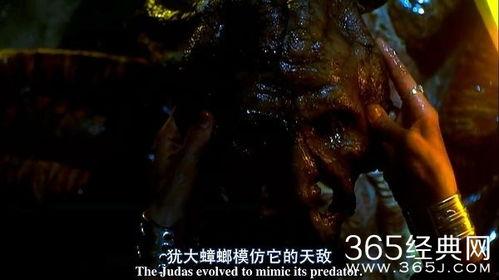 撕裂人2 在线观看,血战再启，在线惊悚盛宴  第2张