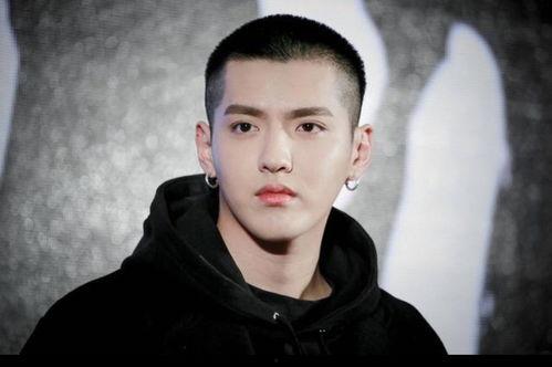 最新八卦爆料杨紫肖战